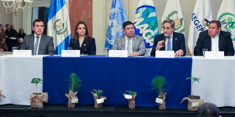 Guatemala y FAO fortalecen medios de vida de familias rurales en el país