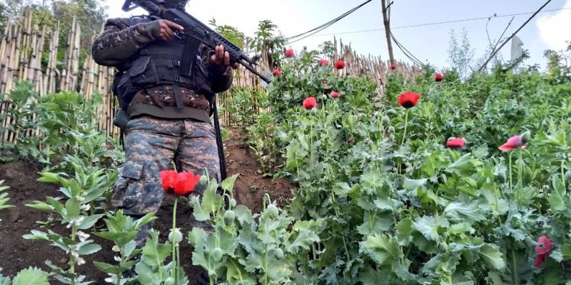 Operaciones interinstitucionales contra el narcotráfico generan resultados positivos durante las últimas 24 horas.