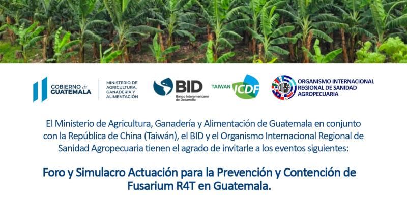 El Ministerio de Agricultura, Ganadería y Alimentación de Guatemala en conjunto con la República de China (Taiwán), el BID y el Organismo Internacional Regional de Sanidad Agropecuaria, le invitan al Foro y Simulacro Actuación para la Prevención y Contención de Fusarium R4T en Guatemala.