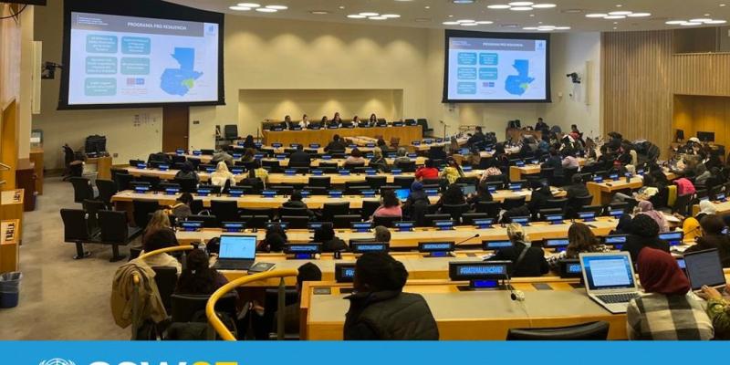 La Secretaria Presidencial de la Mujer Ana Leticia Aguilar Theissen en 