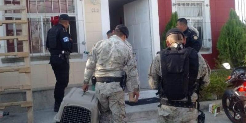 Rescatan una especie de la vida silvestre en Palencia