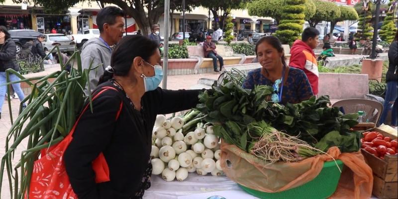 Día Orgánico para promover la alimentación saludable