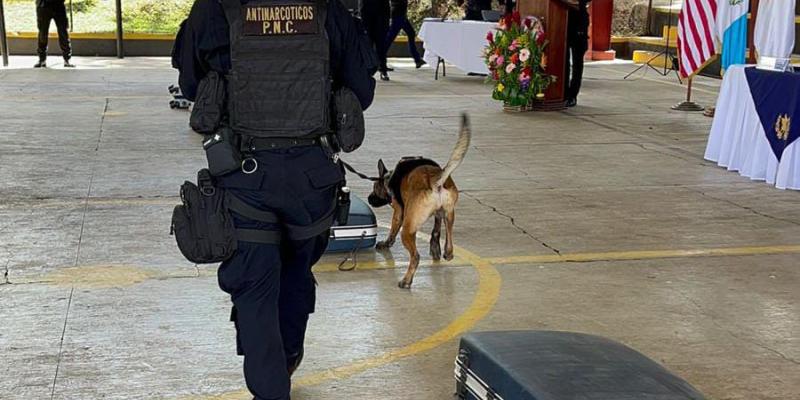 Guías K-9 fortalecen capacidades en detección de ilícitos