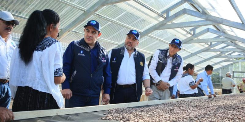 Fortalecen producción de cacao Santa Catalina La Tinta