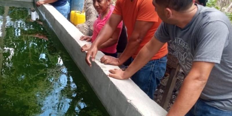 Productores de tilapia en Petén mejorarán su producción