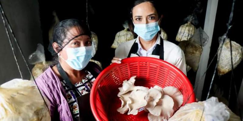 Mujeres productoras de hongos en Totonicapán son motivadas a financiar su emprendimiento