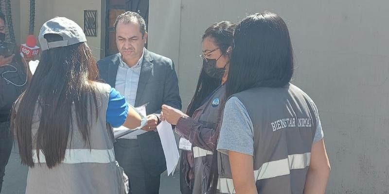 UBA sanciona al autor de la muerte de perros en Quetzaltenango