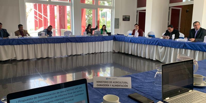 Integrantes de la Mesa 