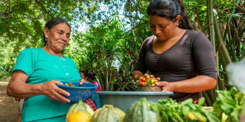 Sistemas alimentario sostenibles