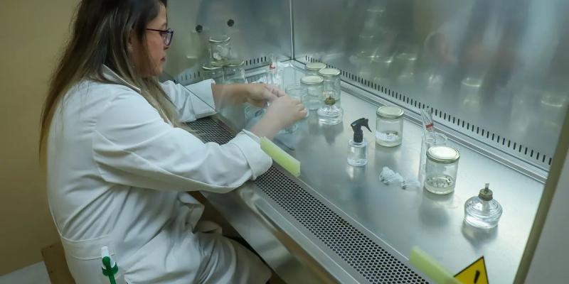 Laboratorio in vitro 