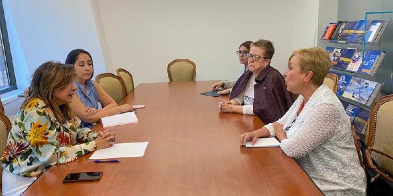 Reunión con la Comisión Interamericana de Mujeres para el Acompañamiento de la Creación del Protocolo Consular para Mujeres Migrantes Víctimas de Violencia
