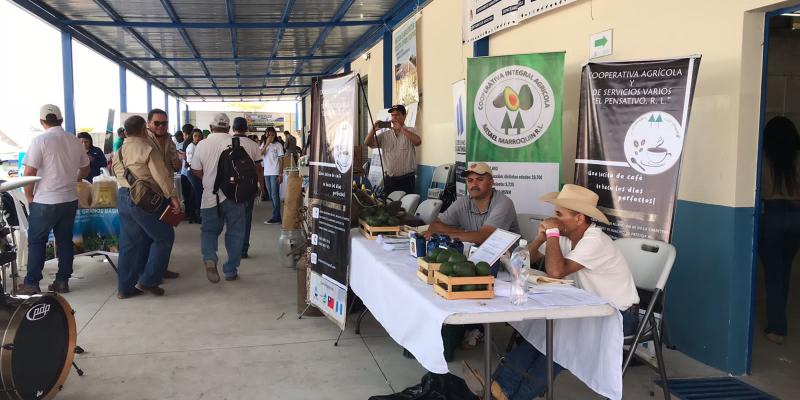 Expositores muestran sus productos en Agro feria en el Progreso, Jutiapa