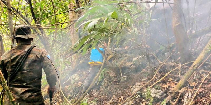 Ejército de Guatemala contribuye en el sofocamiento de incendio forestal registrado en Petén.