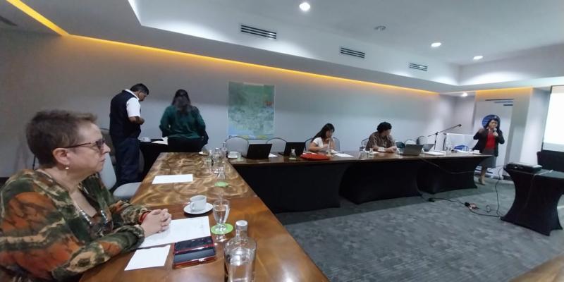 SEPREM e INE integran comité de expertas para asesorar a equipo técnico para la ENCABIH