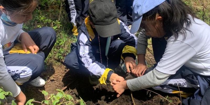 Niños de San Pedro Sacatepéquez reforestan el bosque municipal