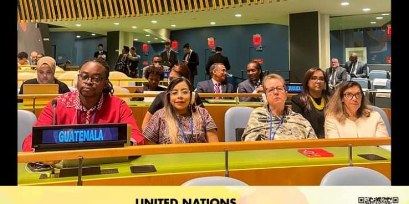 SEPREM y CODISRA presentes en Foro Permanente de los Afrodescendientes que se realiza en la sede de la Organización de Naciones Unidas en Nueva York 