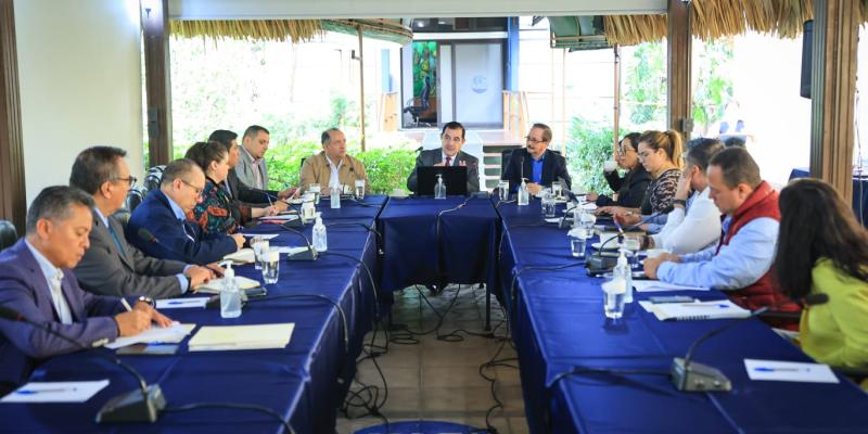 Guatemala modernizará los controles para prevenir el hongo que afecta al banano y plátano. 