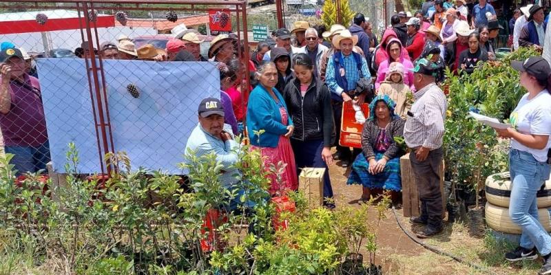 Campaña de reforestación en San Sebastián, San Marcos