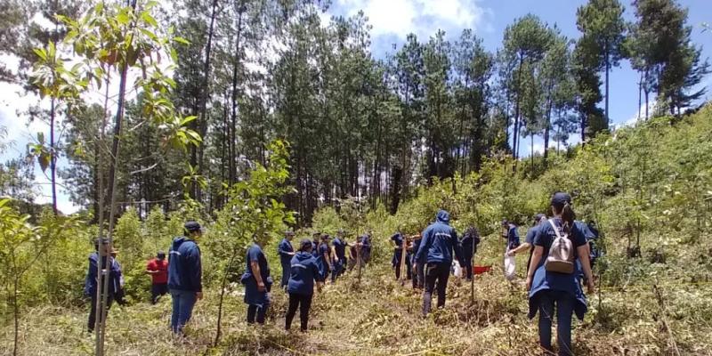 MARN y voluntarios reforestan el astillero municipal de Santa Apolonia, Chimaltenango