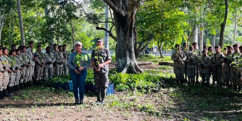 MARN en Petén planta más de dos mil árboles con apoyo de voluntarios