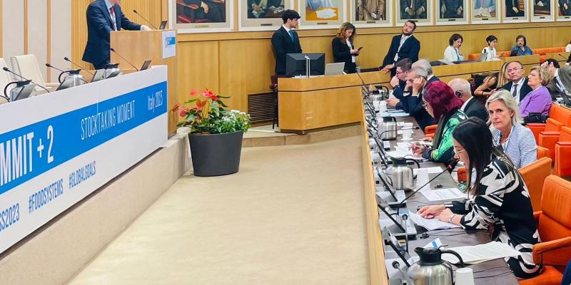 Guatemala expone en cumbre de Naciones Unidas nueva perspectiva de la producción sostenible