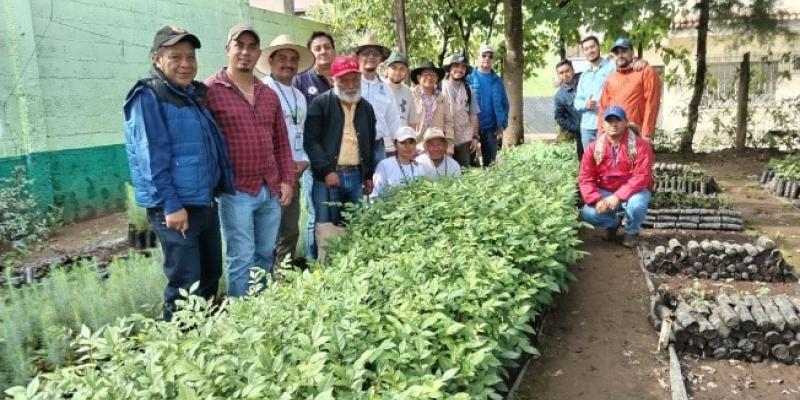 Instituciones y voluntarios unidos para reforestar en Santa Cruz del Quiché