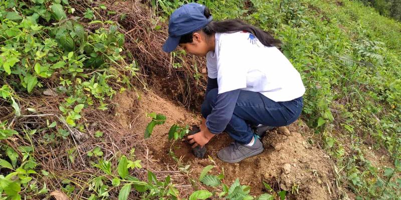 Líderes Ambientales del MARN reforestan en Patzún, Chimaltenango