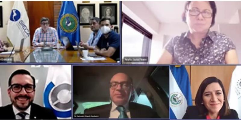 Captura de pantalla de la reunión virtual