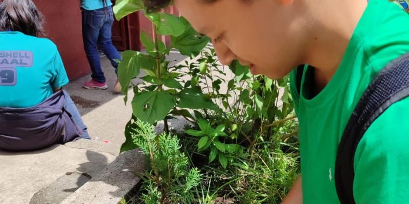 Promueven buenas prácticas ambientales con estudiantes