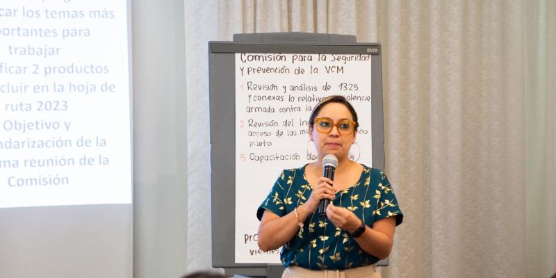 La SEPREM participó en la segunda reunión ordinaria de la Mesa Interinstitucional sobre Mujeres, Paz y Seguridad -MIMPAZ-