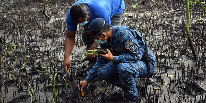 Ejército de Guatemala conmemora el Día Internacional del Ecosistema de Manglares.
