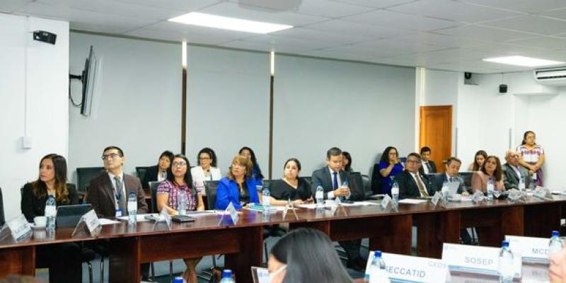 Subsecretaria Presidencial de la Mujer participó en la Reunión Ordinaria del GEDS