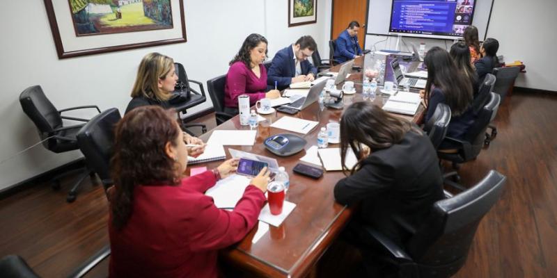 Ministra de Economía, Luz Pérez (De espaldas, con chaqueta roja) presidió la reunión virtual.