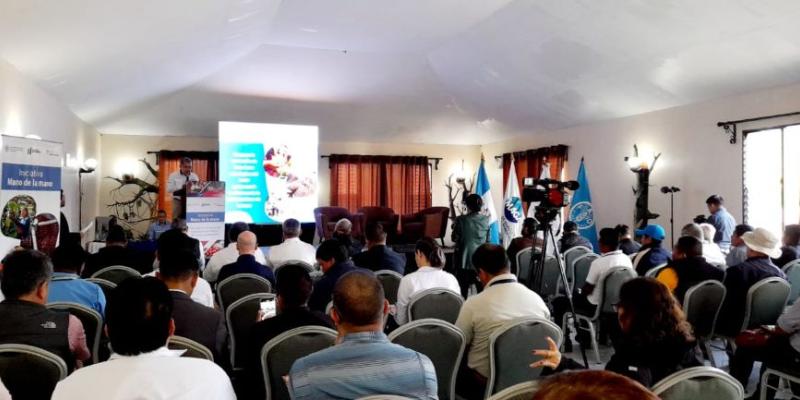 presentación del Programa de Inversiones para el Desarrollo Económico Agropecuario en sentido ampliado en la Zona de Adyacencia y Valle del Polochic, Alta Verapaz..