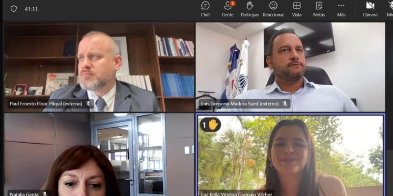 Reunión virtual previa al Consejo Regional de Planificación