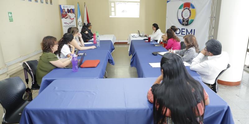 INE visibiliza estadísticas con Enfoque de Pueblos