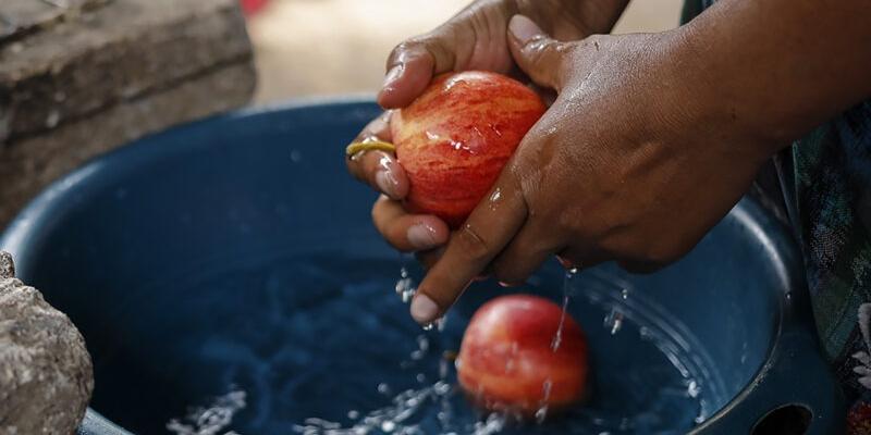 SESAN se suma a la conmemoración del Día Mundial de la Alimentación