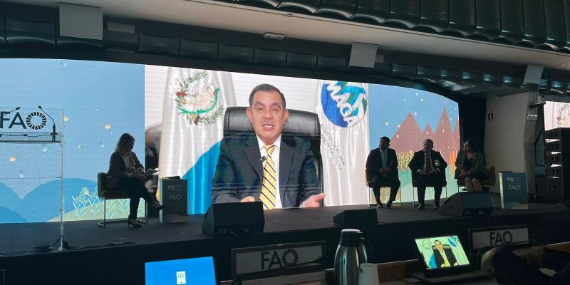 Guatemala con el apoyo de FAO busca captar inversiones en el sector agrícola 