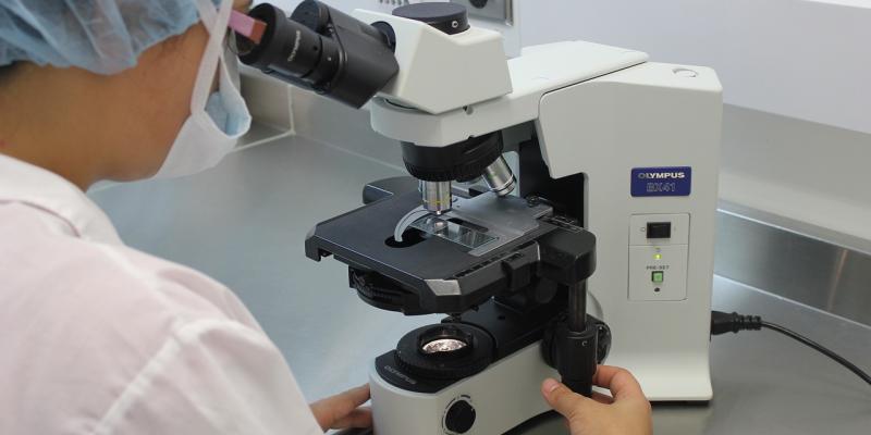 Técnico laboratorista evalua pruebas en microscopio 
