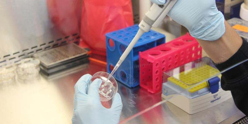 experimiento en laboratorio