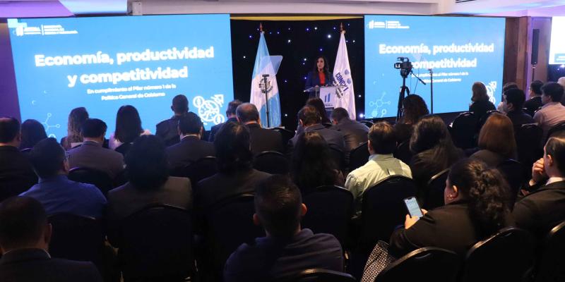 Presentación de resultados 