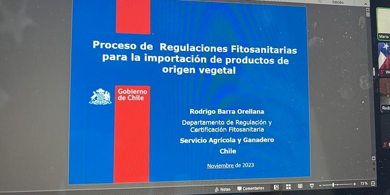 Embajada de Guatemala en Chile y AGEXPORT desarrollan webinar sobre servicio agrícola y ganadero 