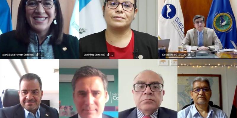 La ministra de Economía, Luz Pérez (centro arriba), durante su participación en la reunión.