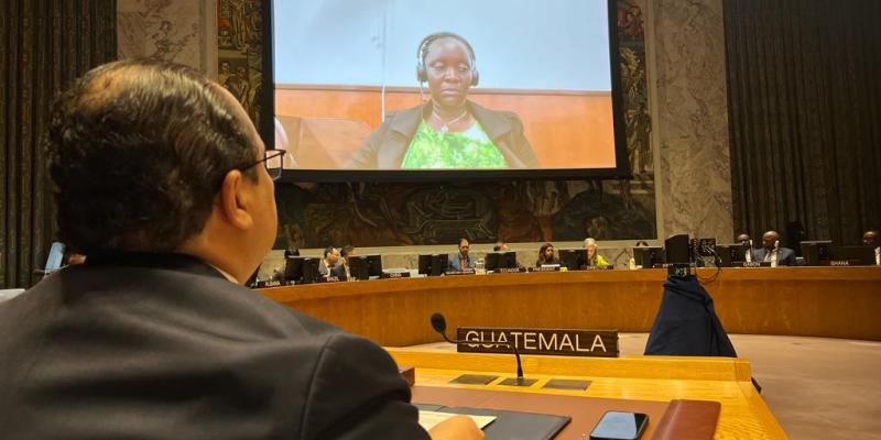 Guatemala participa en Debate Abierto de la ONU sobre crimen organizado transnacional 