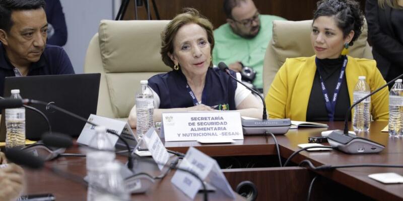 SESAN atiende citación en el Congreso para informar acciones que se ejecutarán en Quiché