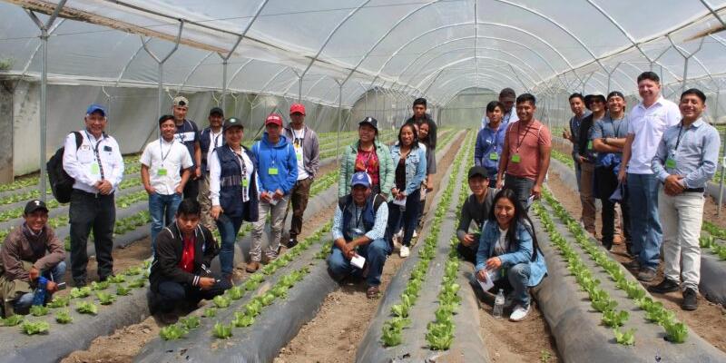 Personal de la SESAN participa en taller sobre Soluciones Innovadoras para Cadenas de Valor Agrícola