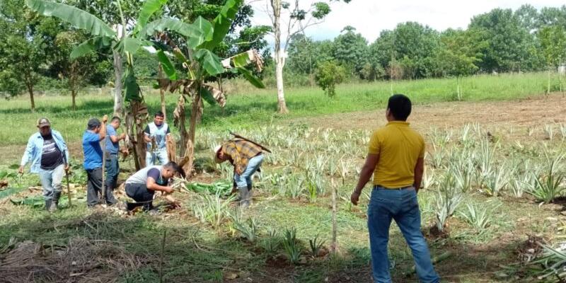 SESAN y COMUSAN coordinan la implementación de huerto demostrativo para fomentar la alimentación saludable