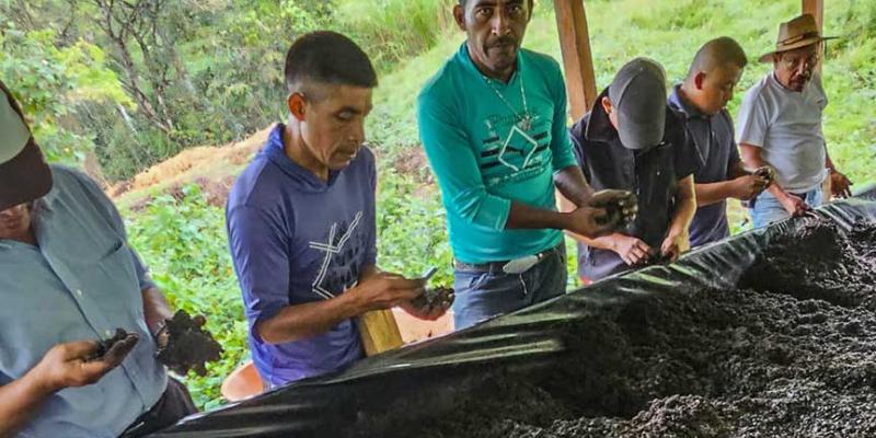 Agricultores de San Martín Chicaj producen abono orgánico