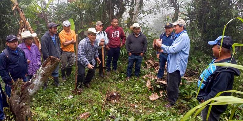 Agricultores de Zacapa que cultivan plátano son capacitados