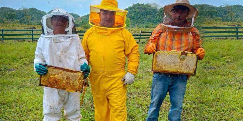 Apicultores de Petén se adaptan al cambio climático